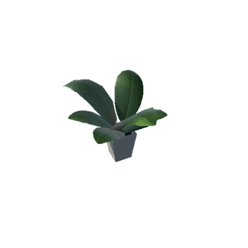 plant1 Variant